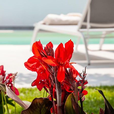 Epavli Boutique Hotel Chania  Zewnętrze zdjęcie